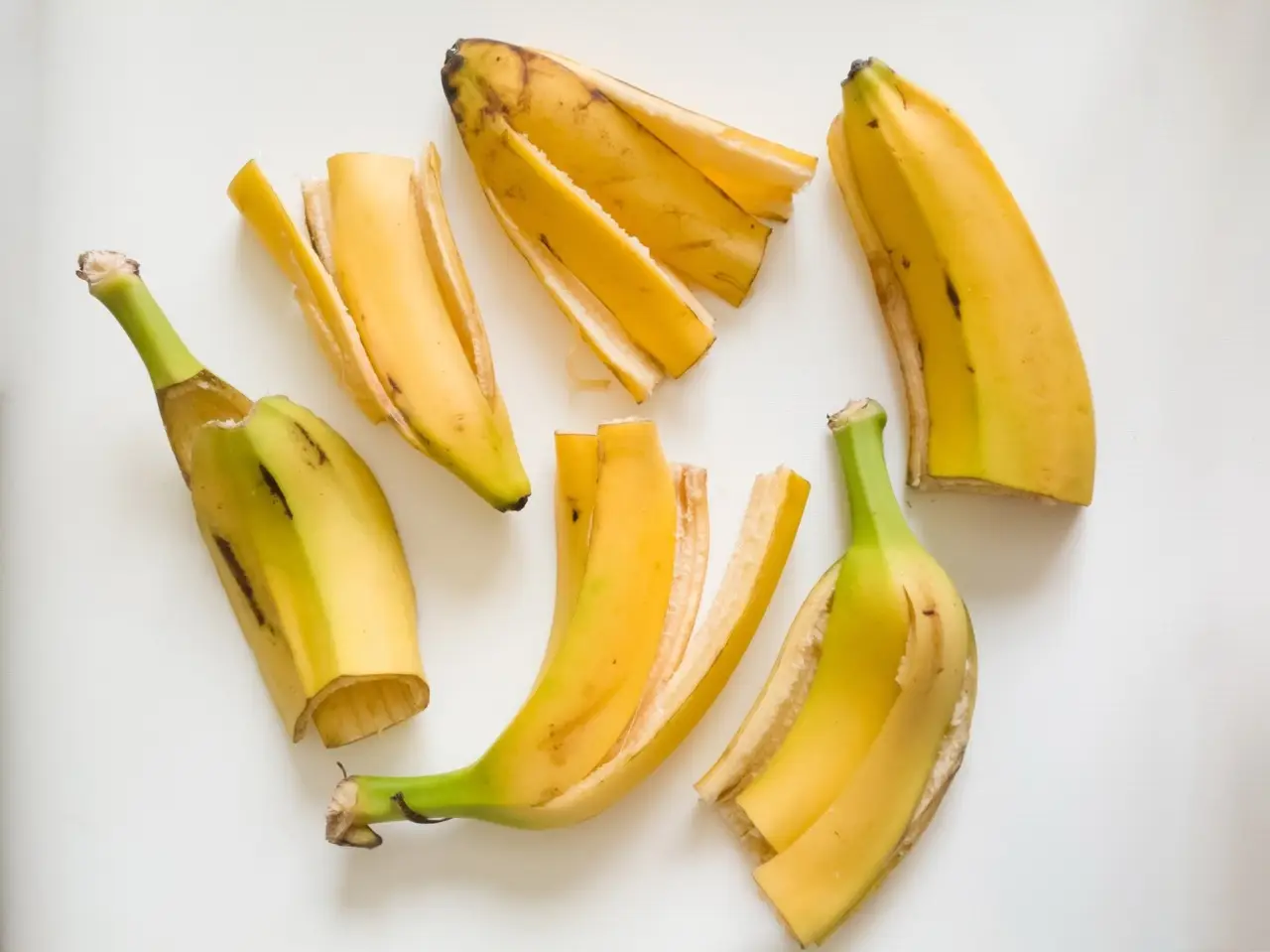 Piante aromatiche che amano la buccia di banana: la lista per balconi rigogliosi Piante aromatiche che amano la buccia di banana: la lista per balconi rigogliosi