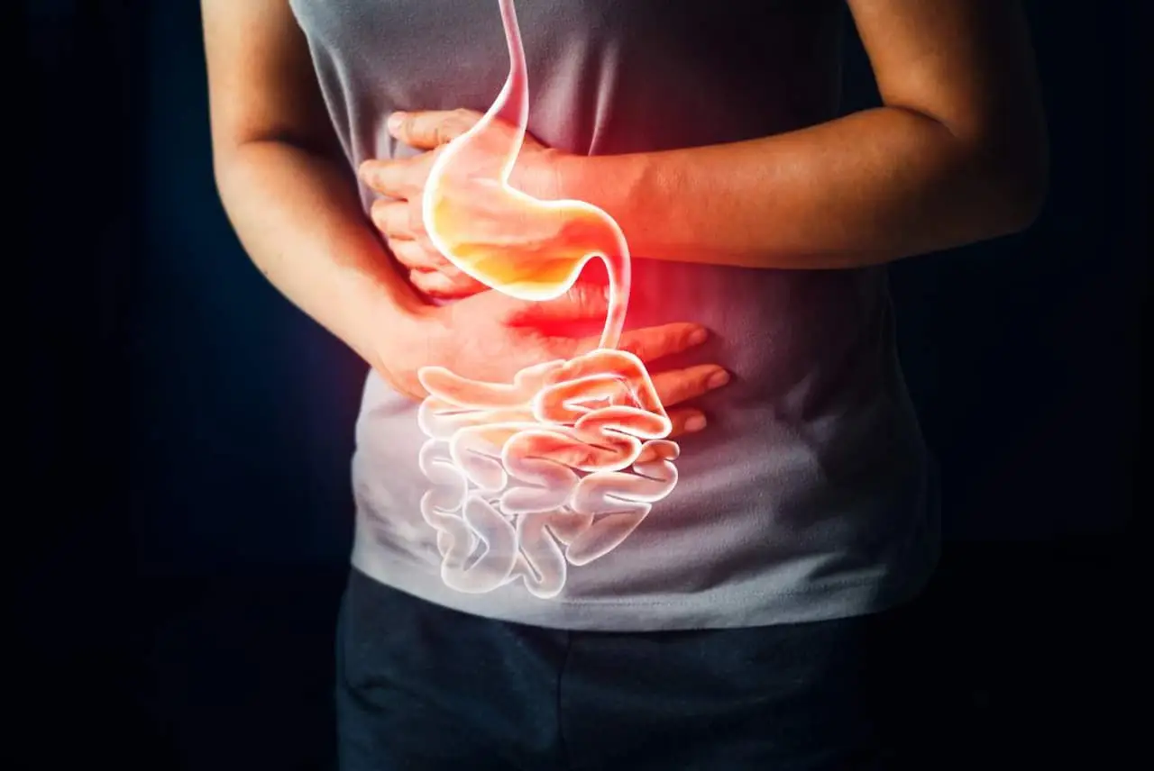Cena leggera: ecco l’alimento che favorisce la digestione notturna in modo naturale Cena leggera: ecco l’alimento che favorisce la digestione notturna in modo naturale