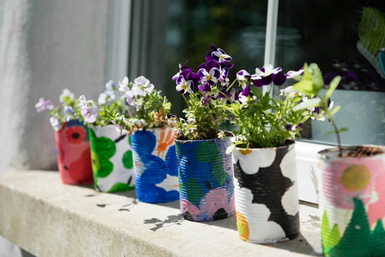 Vasi sempre colorati: prova questa varietà perenni resistente al caldo e al freddo Vasi sempre colorati: prova questa varietà perenni resistente al caldo e al freddo