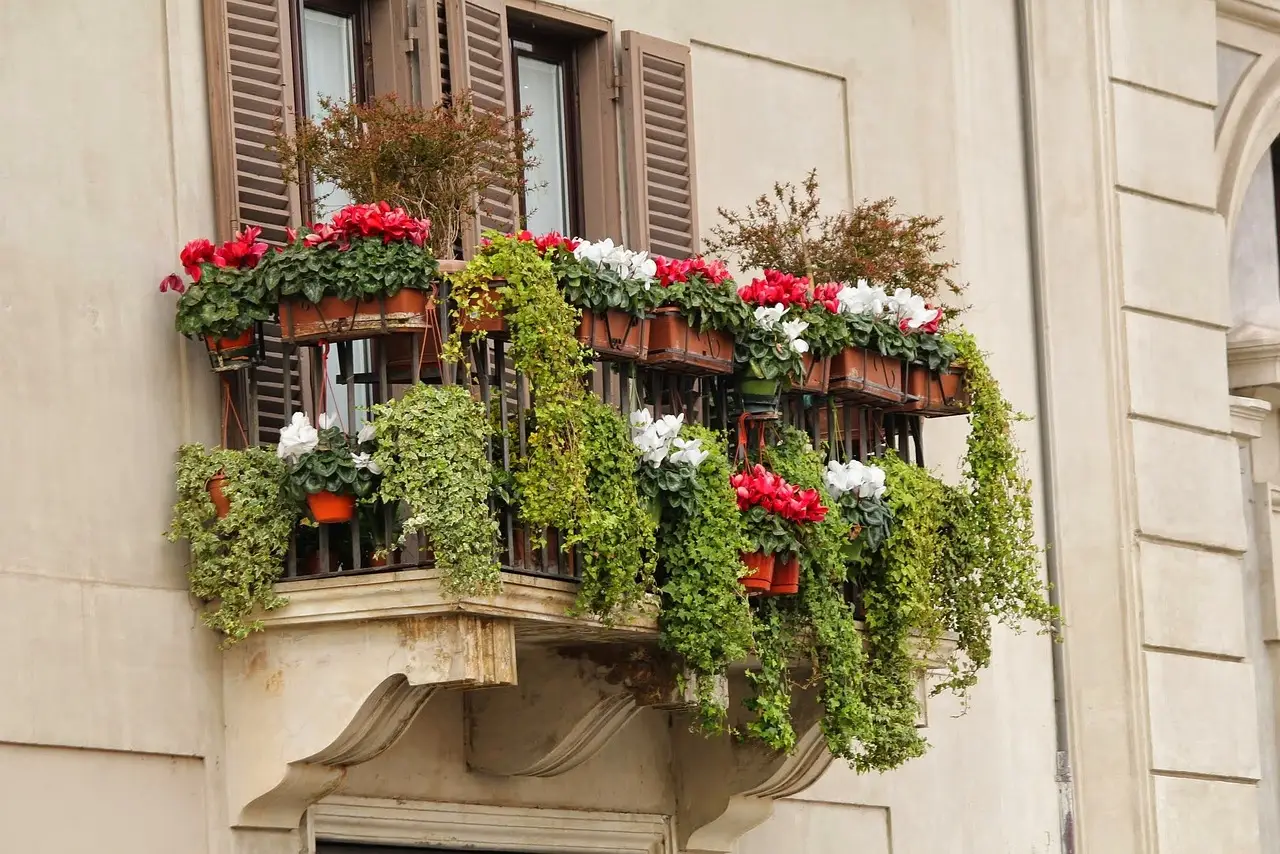 Rampicanti resistenti al caldo: scegli la varietà perfetta per il tuo balcone Rampicanti resistenti al caldo: scegli la varietà perfetta per il tuo balcone