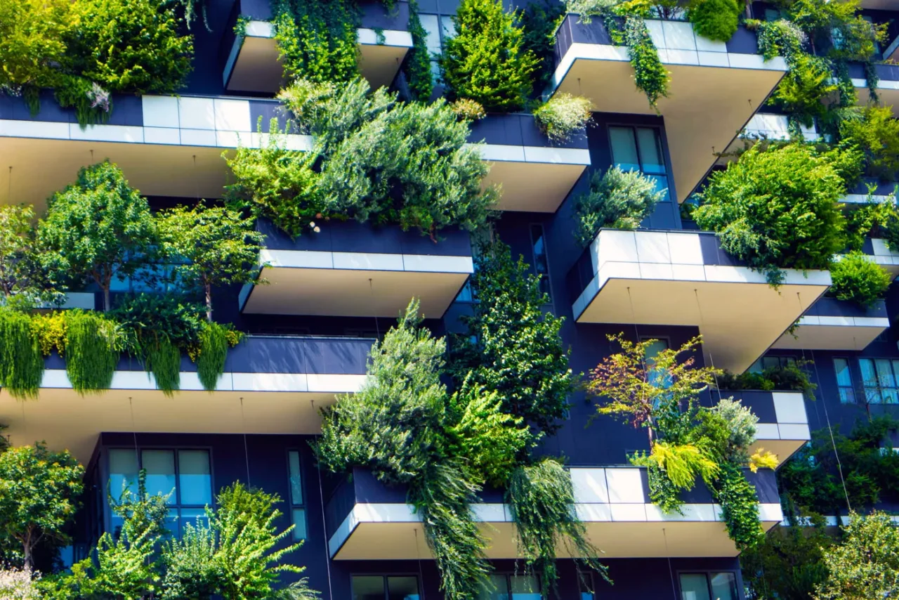 La pianta che riduce lo smog in terrazzo e si cura da sola anche d’estate La pianta che riduce lo smog in terrazzo e si cura da sola anche d’estate